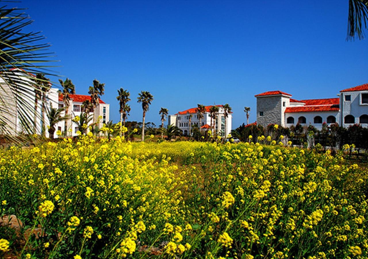 Lasania Resort Seogwipo Ngoại thất bức ảnh